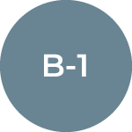 All U.S. Visa Types 1 B-1 Business Visitor Visa