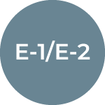 E1-E2 Treaty Trader-Investor Visa