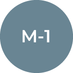M 1 Vocational Student Visa
