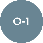 O-1 Extraordinary Ability Visa