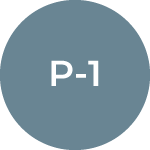 P Visas